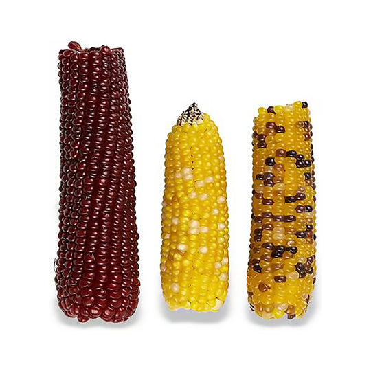 Vitakraft Mini-Pop - Popcorn Bird Treat 6oz