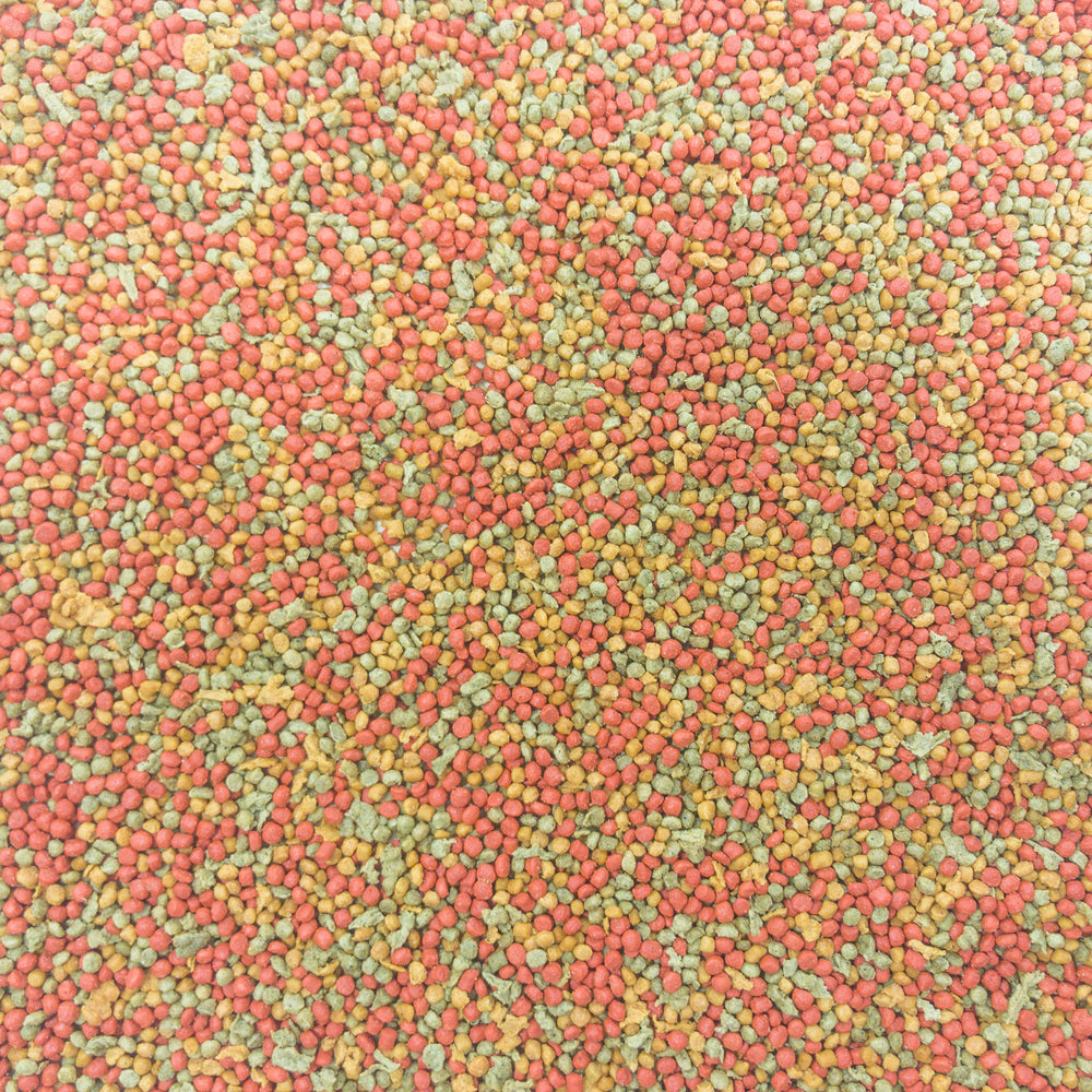 Higgins inTune Parakeet - 2lb