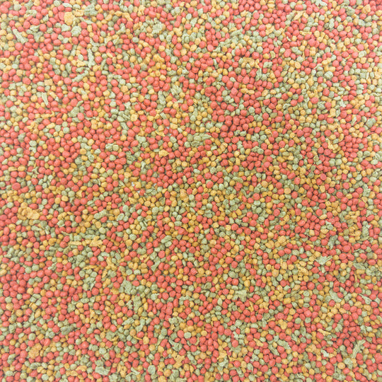 Higgins inTune Parakeet - 2lb