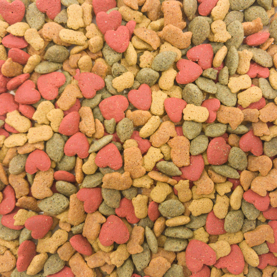 Higgins inTune Parrot - 3lb