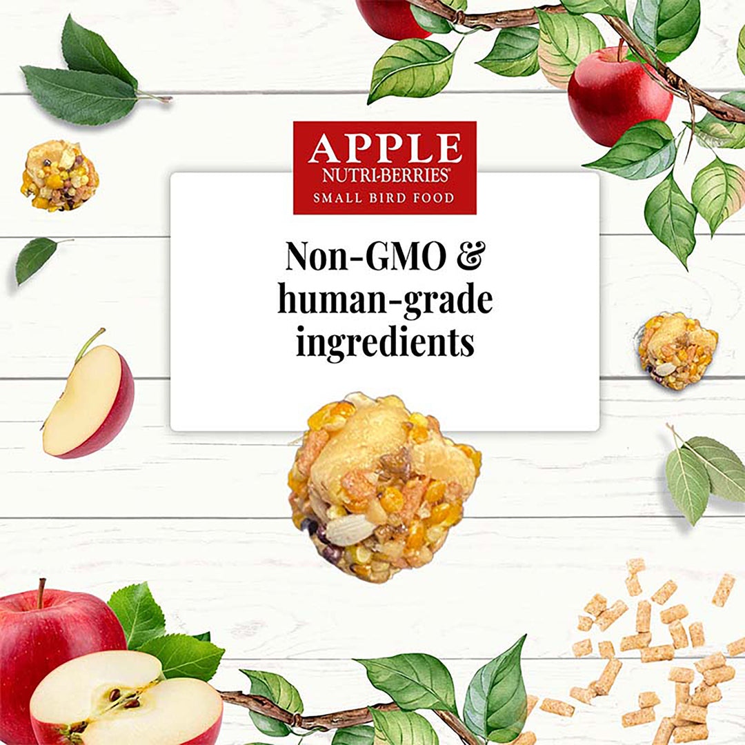 Lafeber's Apple Nutri-Berries for Small Birds - 10oz