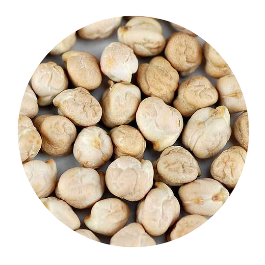 Handy Pantry Sprouting Seeds Garbanzo Bean Organic - 8oz