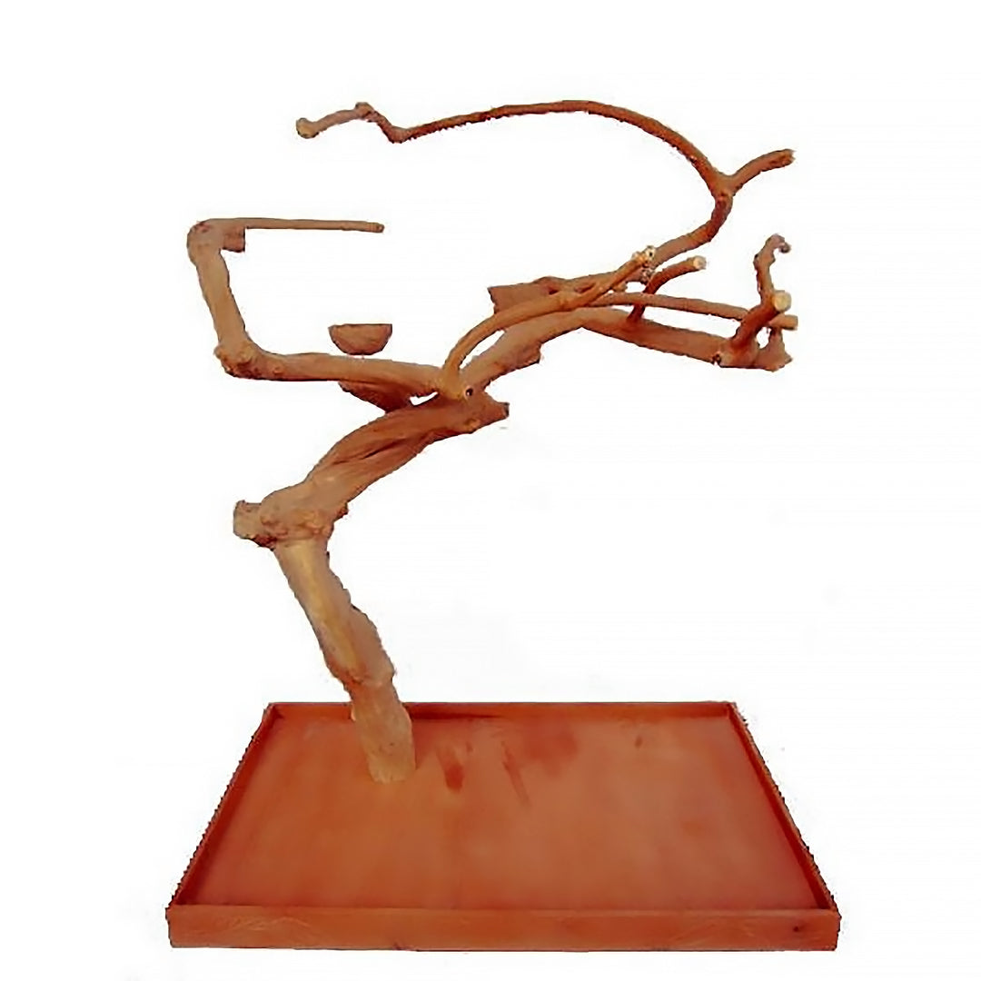 Java Wood Bird Tree A&E Cage Company Medium Java Wood Tree 48