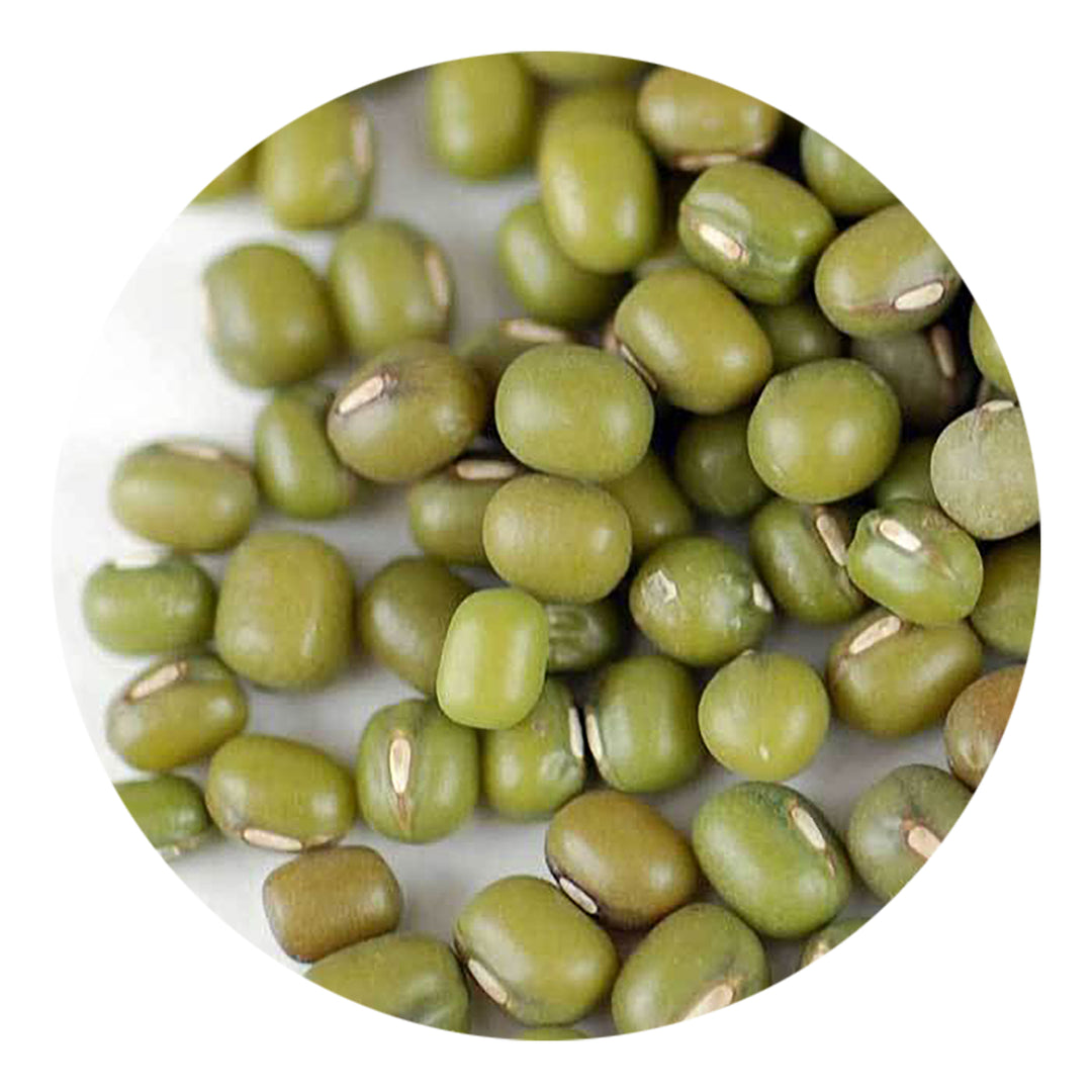 Handy Pantry Sprouting Seeds Mung Bean Organic - 4oz