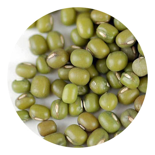 Handy Pantry Sprouting Seeds Mung Bean Organic - 4oz