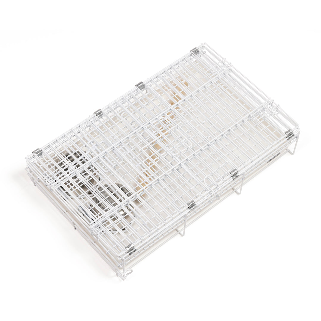 Prevue Pet Products Travel Cage White - Medium Bird Carrier #1305