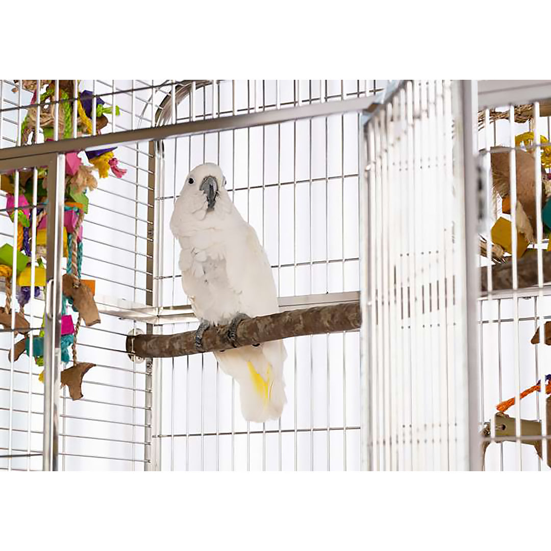 Prevue Pet Products Imperial Extra Large Stainless Bird Cage - 41 1/4” x 27 7/8” - Bird Enclosure #3457
