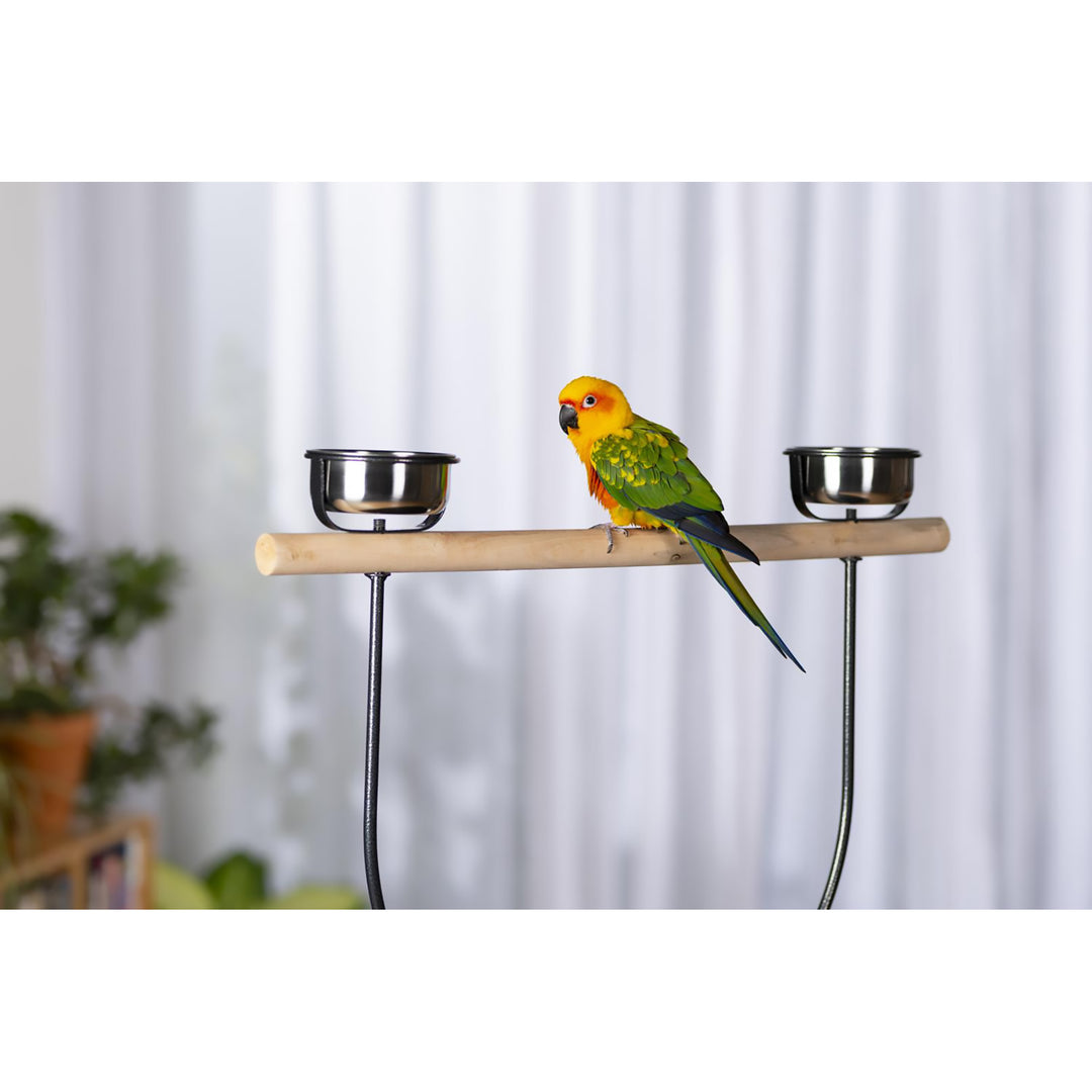 Prevue Pet Products Round Playstand Large #3186