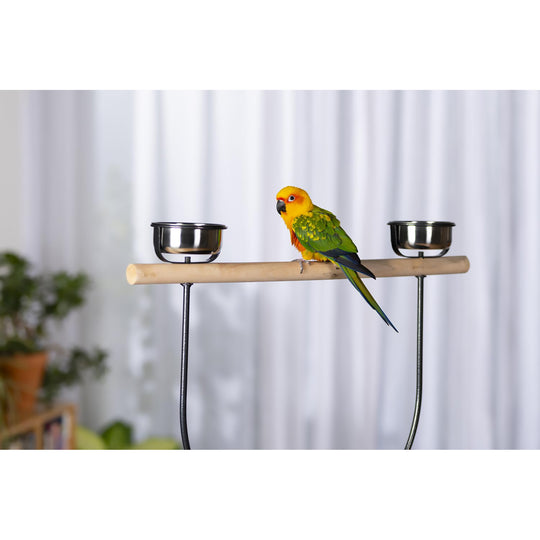 Prevue Pet Products Round Playstand Large #3186