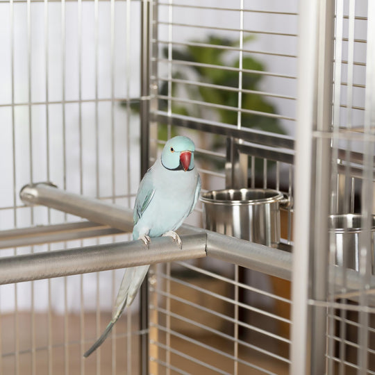 Prevue Pet Products Imperial XXL Stainless Steel Bird Cage - 49” x 38 1/2” - Bird Enclosure #3458