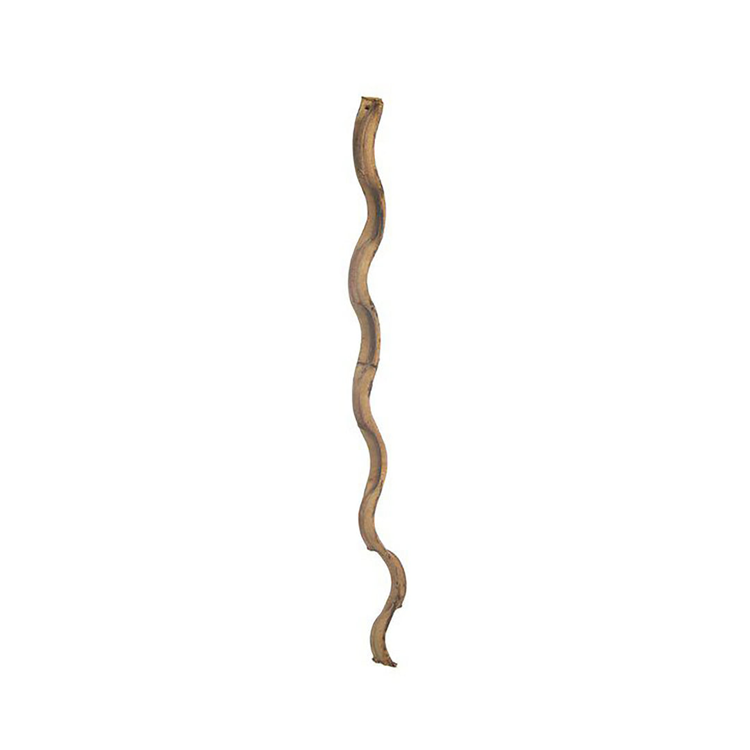 Prevue Pet Products 36" Wacky Wood Vertical Hanging Perch - Curved Natural Bird Perch #62399