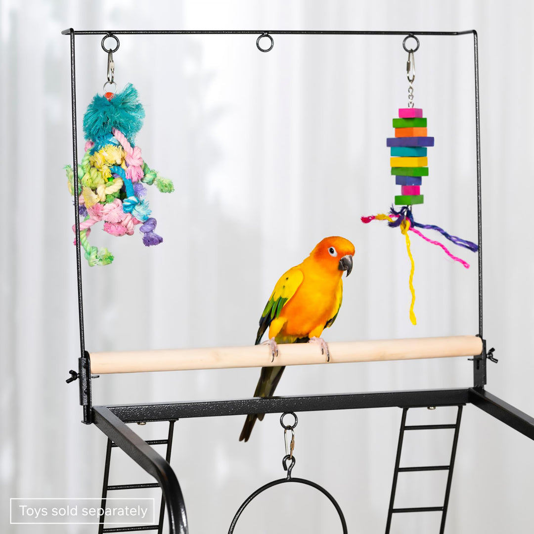 Prevue Pet Products Small Parrot Playstand - Gym Activity Center Bird Stand #3181