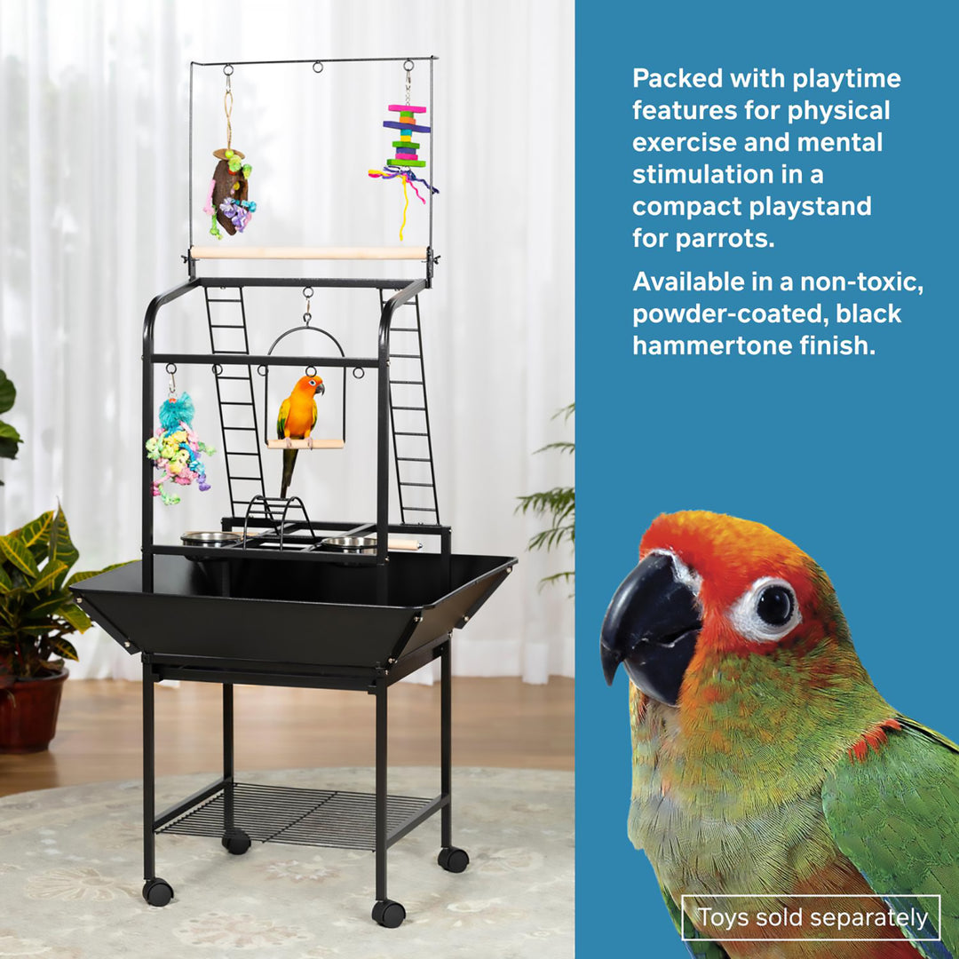Prevue Pet Products Small Parrot Playstand - Gym Activity Center Bird Stand #3181