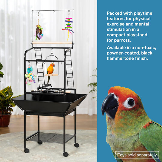 Prevue Pet Products Small Parrot Playstand - Gym Activity Center Bird Stand #3181