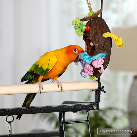 Prevue Pet Products Small Parrot Playstand - Gym Activity Center Bird Stand #3181