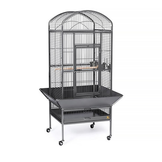 Prevue Pet Products Medium Dome Top Cage Black - 24” x 22” - Small Bird Enclosure #34521