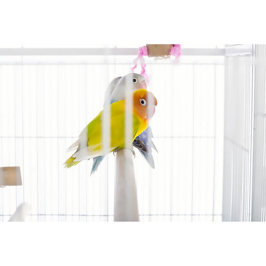 Prevue Pet Products Flight Cage with Stand White - 31” x 20 1/2” - Small Bird Enclosure #F047