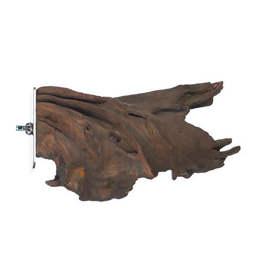 Prevue Pet Products Mangrove Lounge Platform - Flat Perch #3205