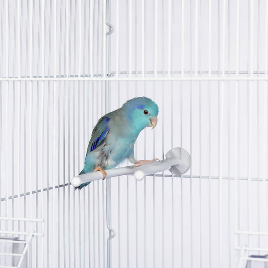 Prevue Pet Products Birdie Basics Small Y-Shaped Plastic Perch #330