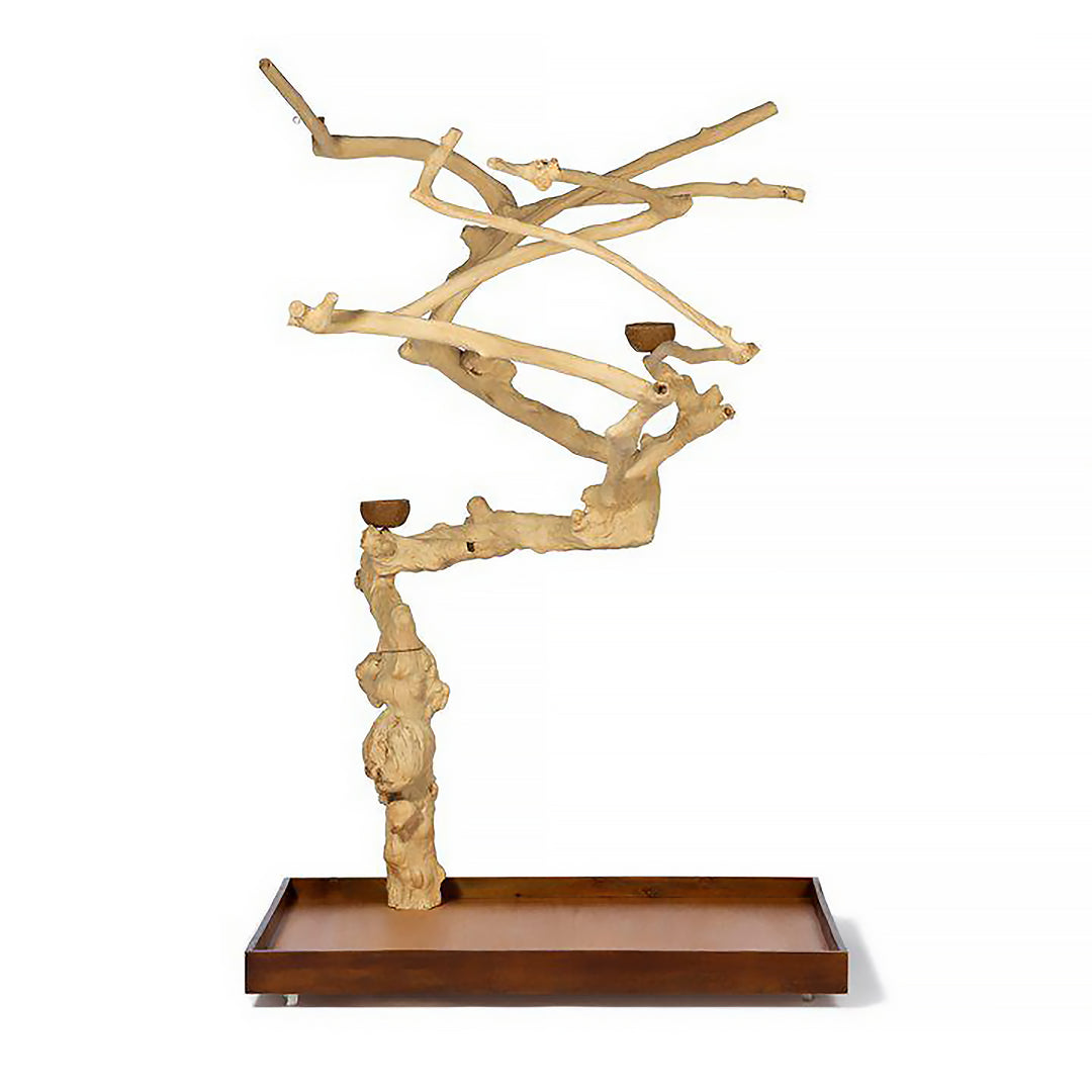 Prevue Pet Products Coffeawood Tree Style #1 Floor Stand X-Large - All-Natural Java Wood Bird Playstand #22615