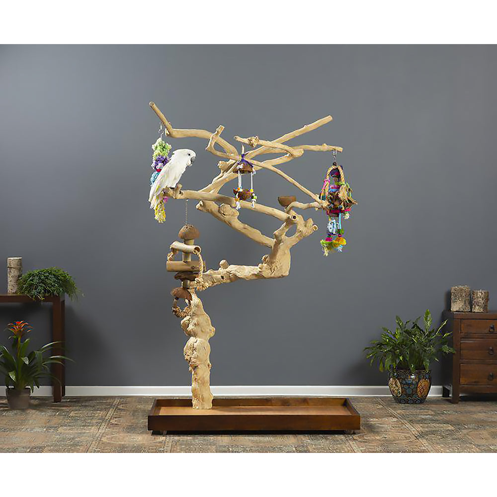 Prevue Pet Products Coffeawood Tree Style #1 Floor Stand X-Large - All-Natural Java Wood Bird Playstand #22615