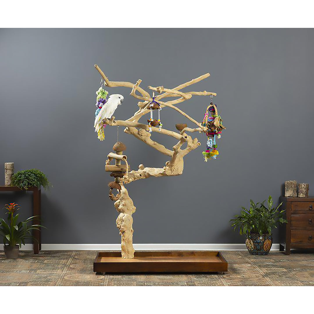 Prevue Pet Products Coffeawood Tree Style #1 Floor Stand X-Large - All-Natural Java Wood Bird Playstand #22615