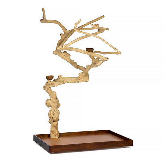 Prevue Pet Products Coffeawood Tree Style #1 Floor Stand X-Large - All-Natural Java Wood Bird Playstand #22615
