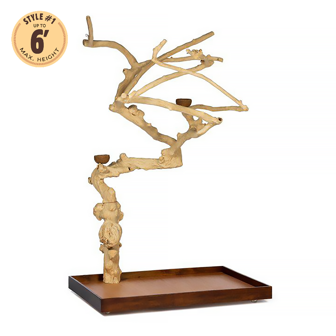 Prevue Pet Products Coffeawood Tree Style #1 Floor Stand X-Large - All-Natural Java Wood Bird Playstand #22615