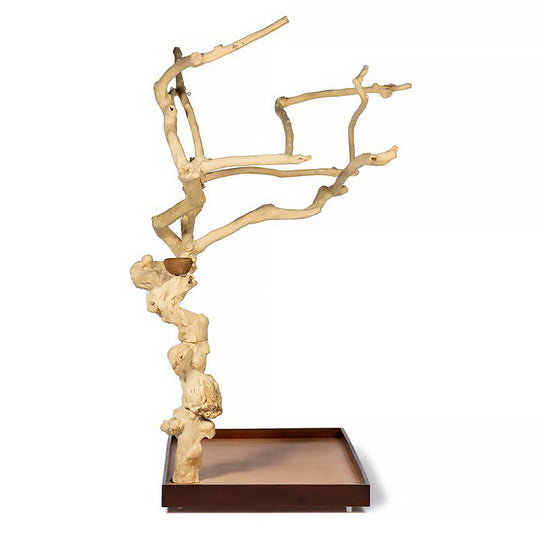 Prevue Pet Products Coffeawood Tree Style #1 Floor Stand X-Large - All-Natural Java Wood Bird Playstand #22615