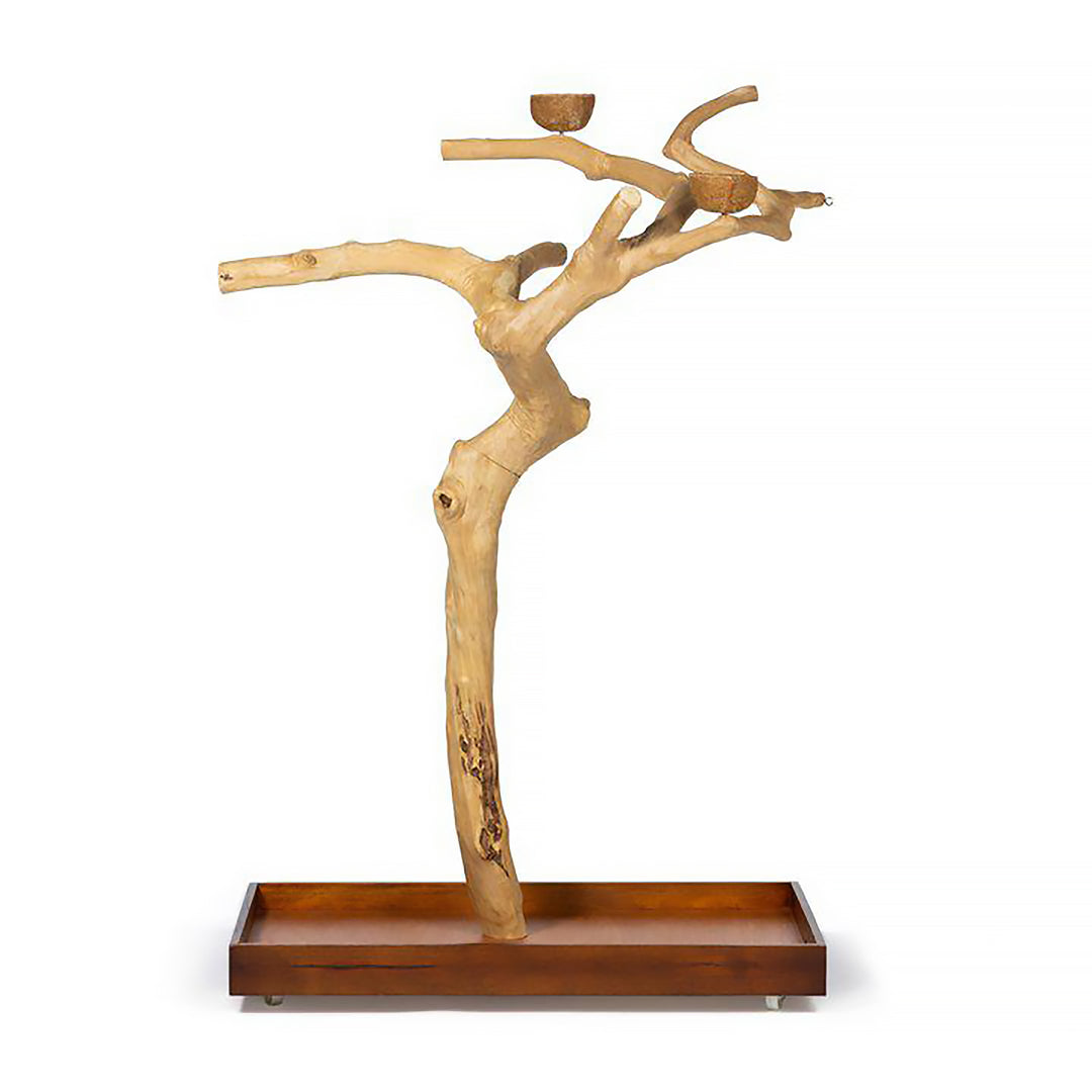 Prevue Pet Products Coffeawood Tree Style #2 Floor Stand Large - All-Natural Java Wood Bird Playstand #22625
