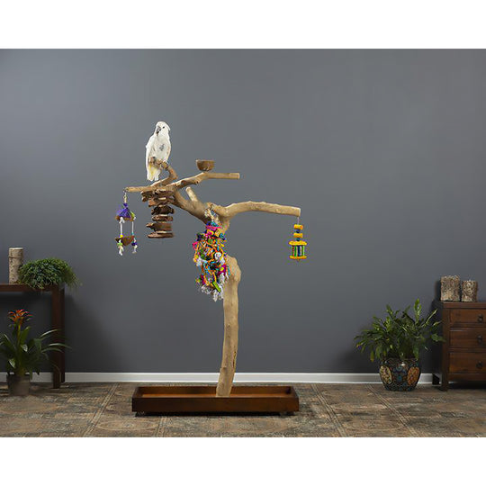 Prevue Pet Products Coffeawood Tree Style #2 Floor Stand Large - All-Natural Java Wood Bird Playstand #22625