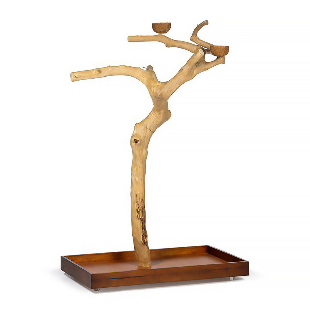 Prevue Pet Products Coffeawood Tree Style #2 Floor Stand Large - All-Natural Java Wood Bird Playstand #22625