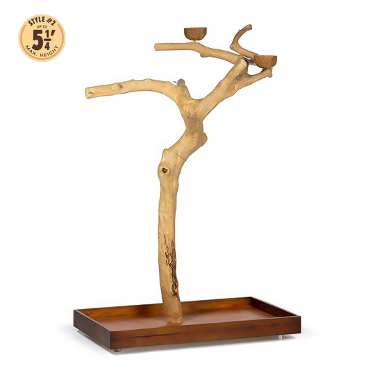 Prevue Pet Products Coffeawood Tree Style #2 Floor Stand Large - All-Natural Java Wood Bird Playstand #22625