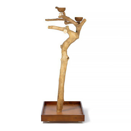 Prevue Pet Products Coffeawood Tree Style #2 Floor Stand Large - All-Natural Java Wood Bird Playstand #22625