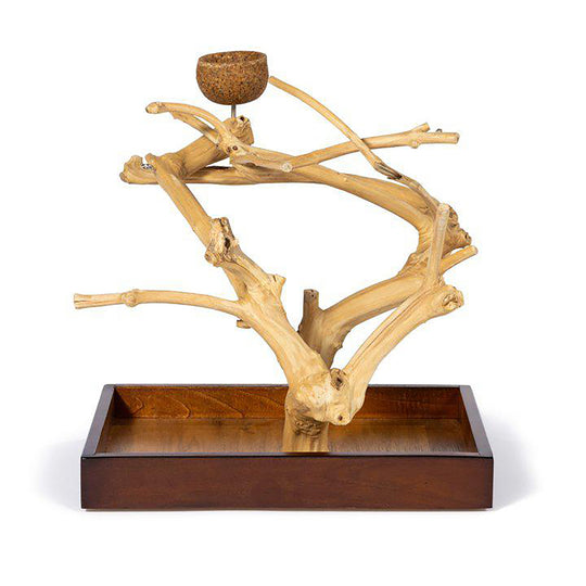 Prevue Pet Products Coffeawood Tree Mini Small - All-Natural Java Wood Bird Tree Stand #22633
