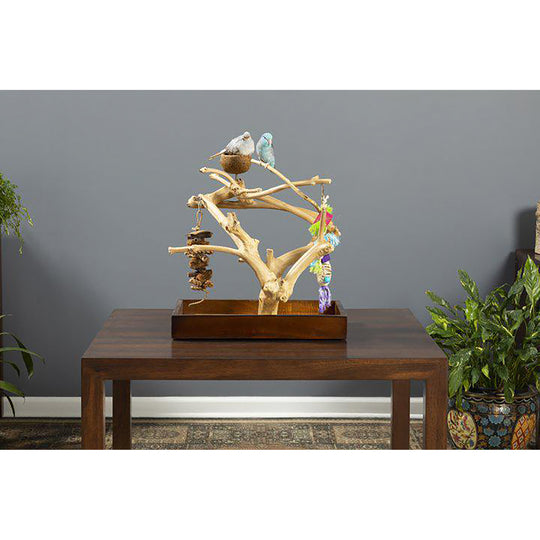 Prevue Pet Products Coffeawood Tree Mini Small - All-Natural Java Wood Bird Tree Stand #22633