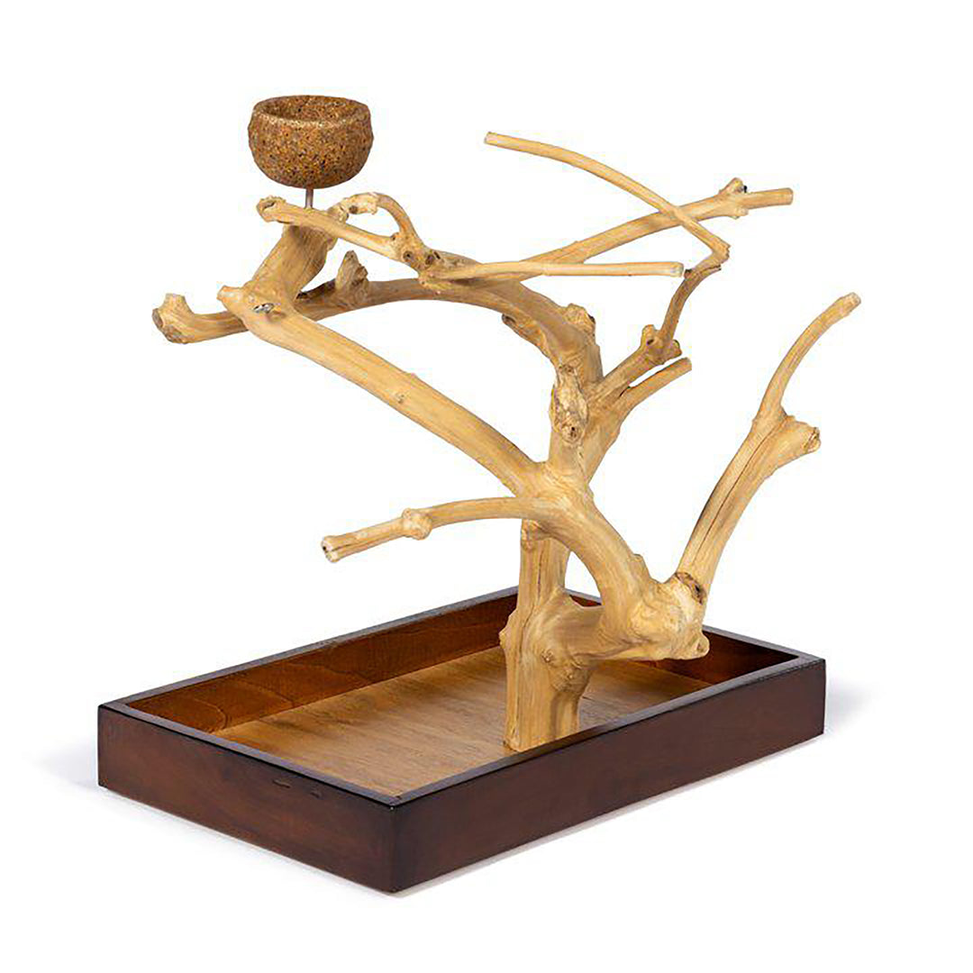 Prevue Pet Products Coffeawood Tree Mini Small - All-Natural Java Wood Bird Tree Stand #22633