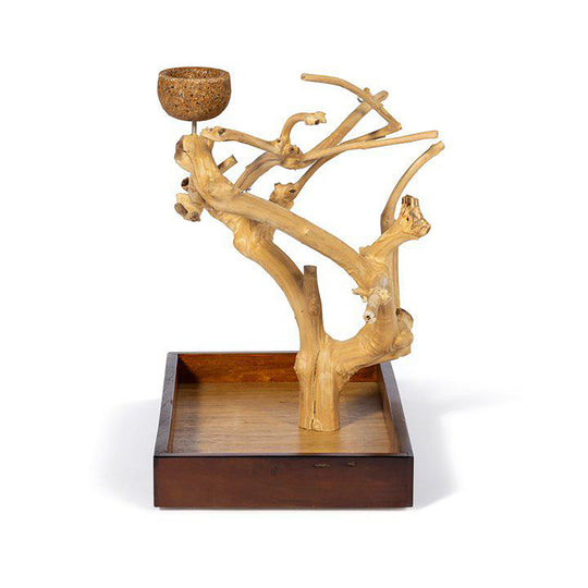 Prevue Pet Products Coffeawood Tree Mini Small - All-Natural Java Wood Bird Tree Stand #22633