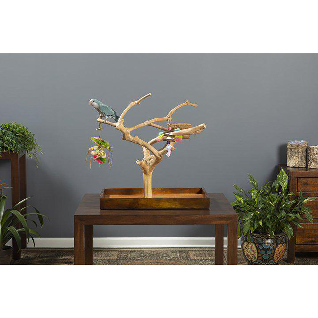 Prevue Pet Products Coffeawood Tree Mini Medium - All-Natural Java Wood Bird Tree Stand #22634