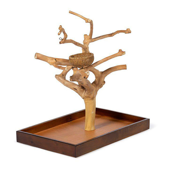 Prevue Pet Products Coffeawood Tree Mini Medium - All-Natural Java Wood Bird Tree Stand #22634