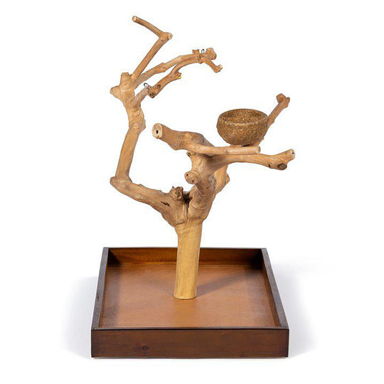 Prevue Pet Products Coffeawood Tree Mini Medium - All-Natural Java Wood Bird Tree Stand #22634