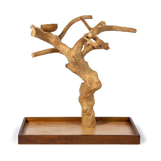 Prevue Pet Products Coffeawood Tree Mini Table Top Large - All-Natural Java Wood Bird Tree Stand #22635