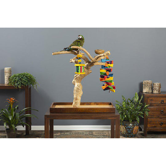 Prevue Pet Products Coffeawood Tree Mini Table Top Large - All-Natural Java Wood Bird Tree Stand #22635