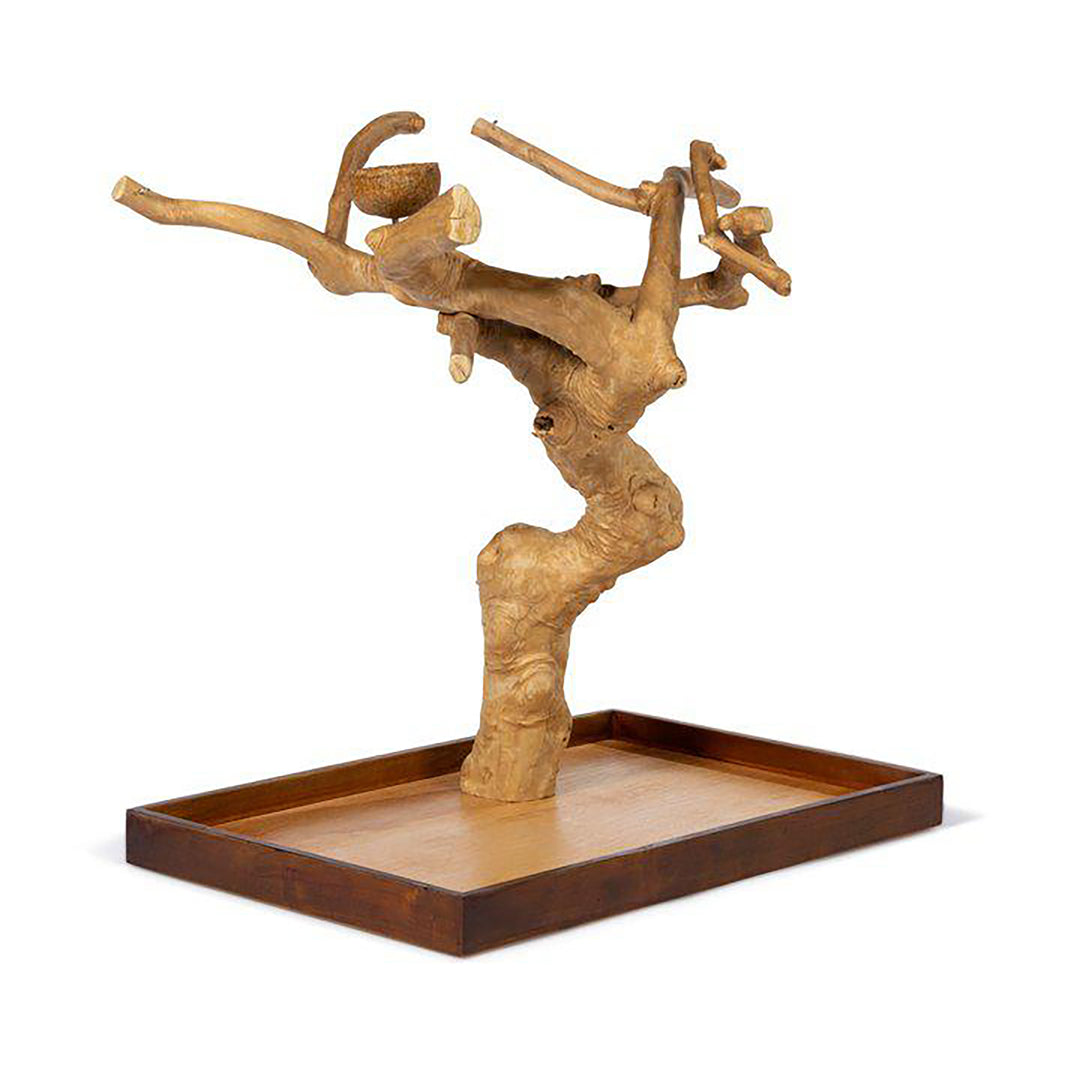 Prevue Pet Products Coffeawood Tree Mini Table Top Large - All-Natural Java Wood Bird Tree Stand #22635