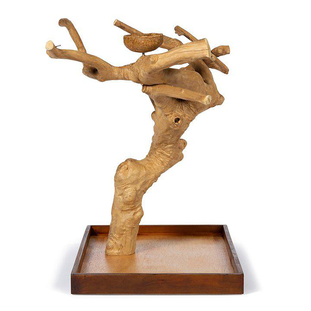 Prevue Pet Products Coffeawood Tree Mini Table Top Large - All-Natural Java Wood Bird Tree Stand #22635