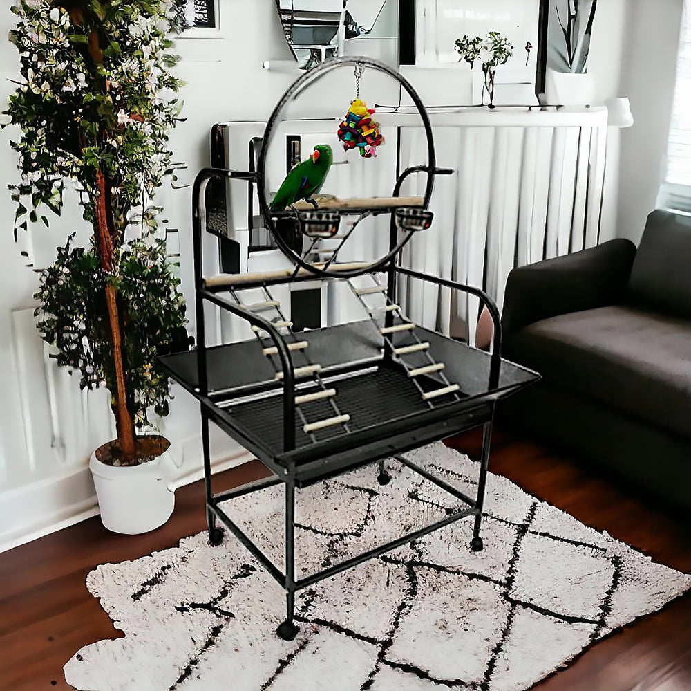 A&E Cage Company Multi Level Play Stand with Ladders Black - Rolling Bird Activity Center #J6