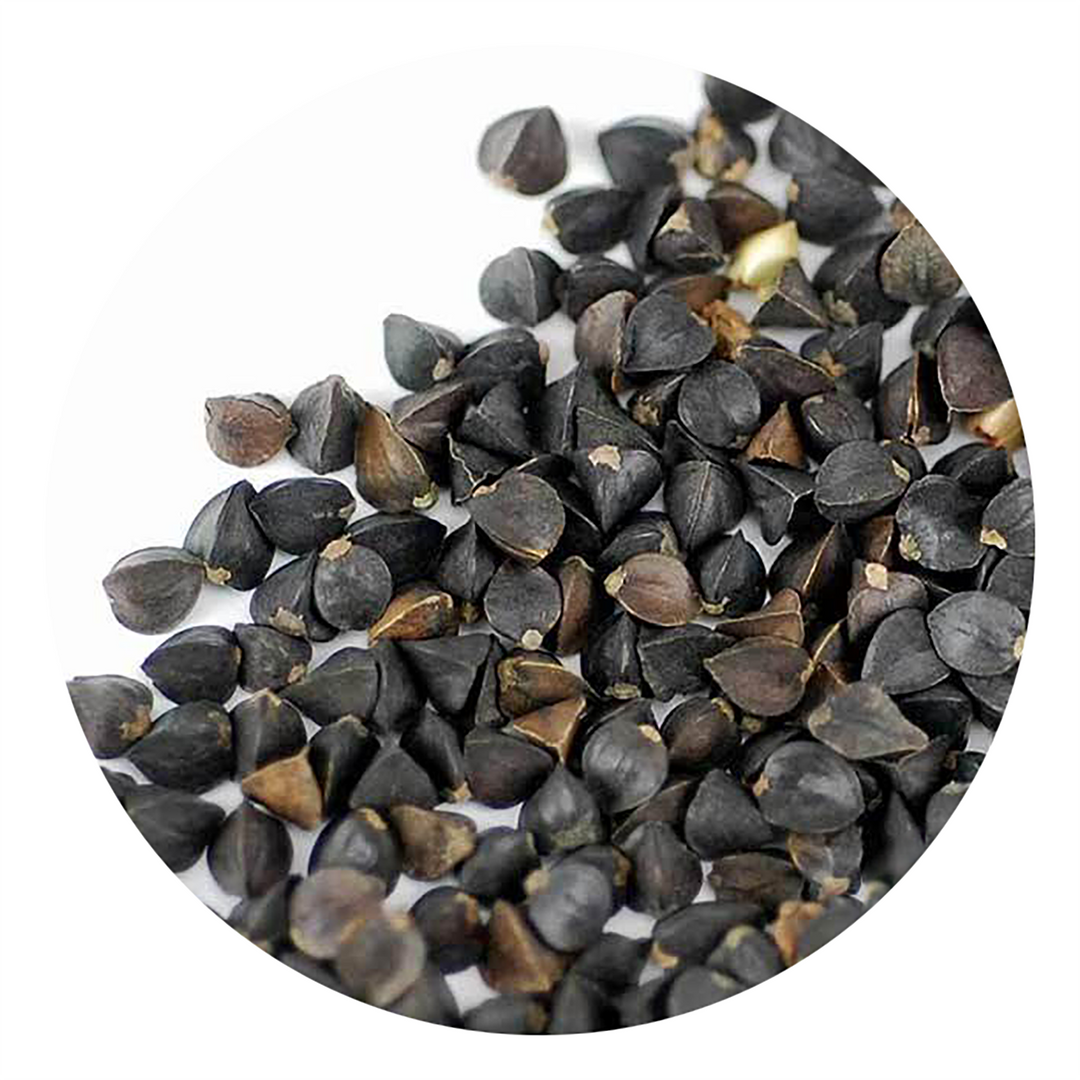 Handy Pantry Sprouting Seeds Buckwheat Whole Organic - 4oz