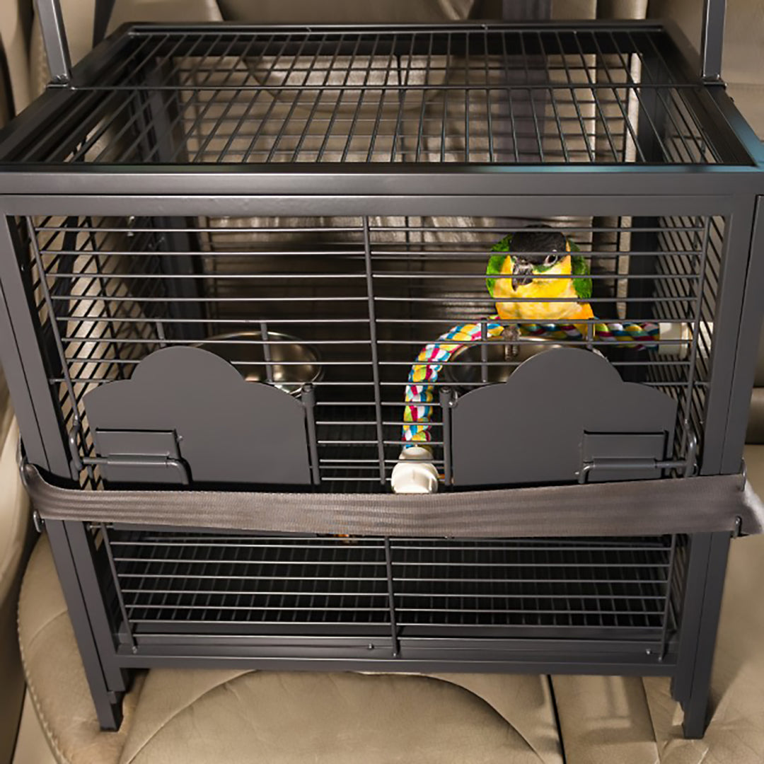 Prevue Pet Products Travel Carrier - Bird Carrier Cage with Perch & Cups #1307