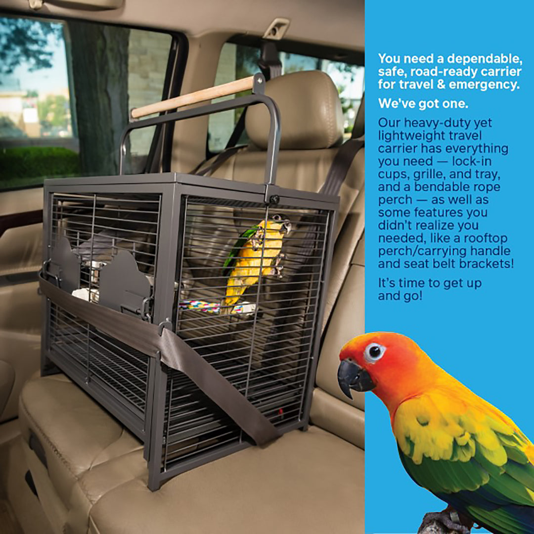 Bird Carrier, Bird Travel Cage, Portable Reis Carrier Cage, Zware voorraden voor kleine dieren voor het houden van huisdieren, tonen transport, vogels veterinaire bezoeken Bird Carrier, Bird Travel Cage, Portable Reis Carrier Cage, Zware voorraden voor kleine dieren voor het houden van huisdieren, tonen transport, vogels veterinaire bezoeken