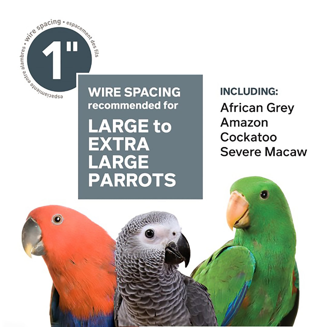 Prevue Pet Products Imperial Extra Large Stainless Bird Cage - 41 1/4” x 27 7/8” - Bird Enclosure #3457